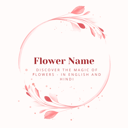 Flowers Names