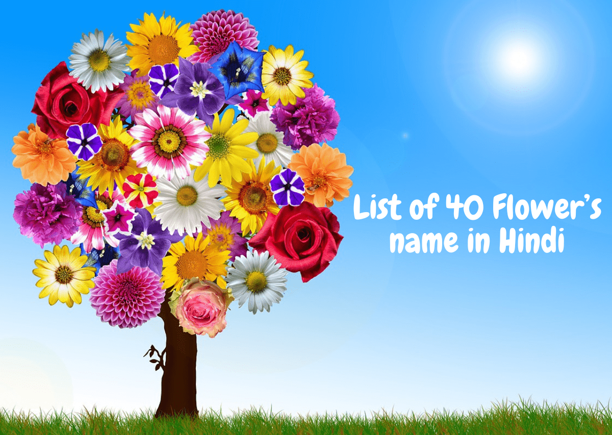 List of 40 Flower’s name in Hindi and English-min