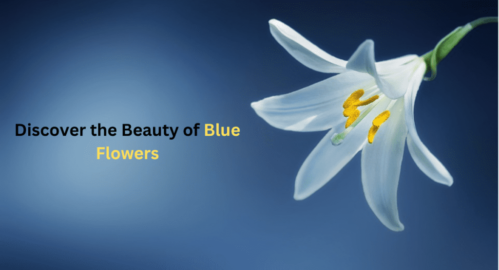 Discover the Beauty of blue Flowers (1)
