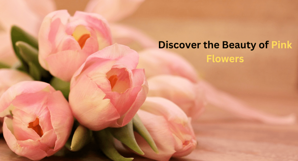 Discover the Beauty of Pink Flowers