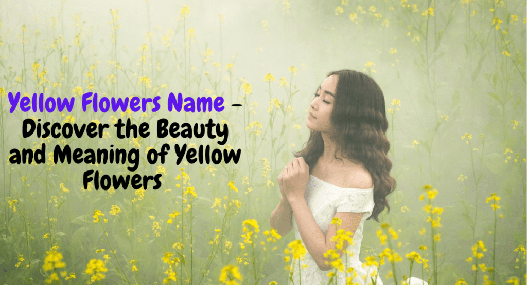 Yellow Flower Name