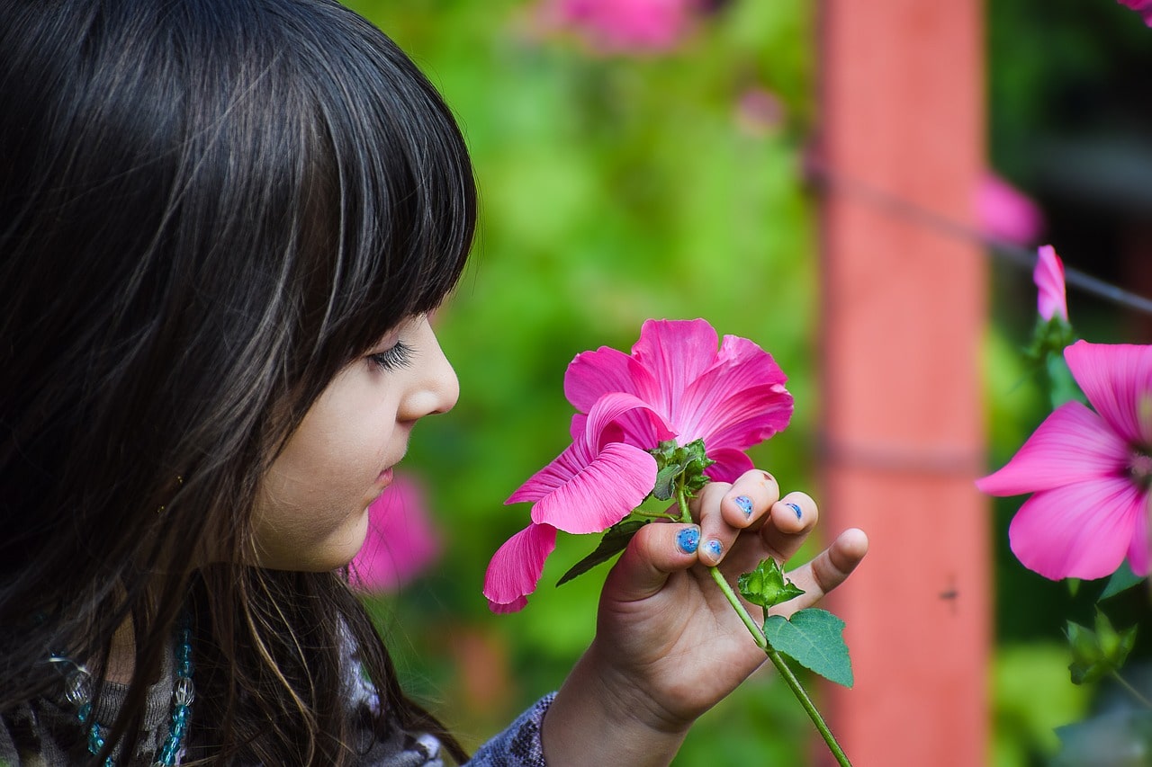 may birth flower