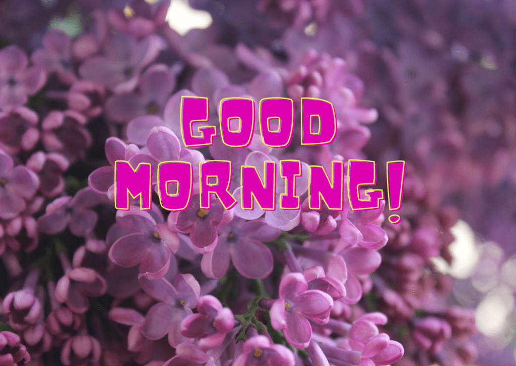 Good Morning Flowers love
