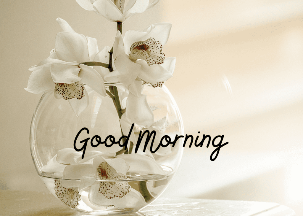 Good Morning Images with Flowers