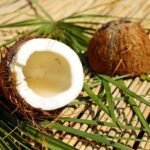 coconut, nut, shell