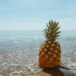 pineapple, beach, tropical
