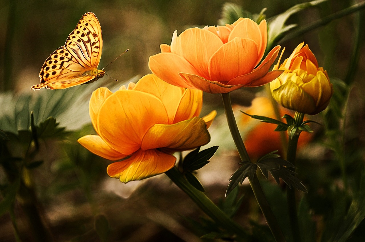 Flower Quotes in hindi