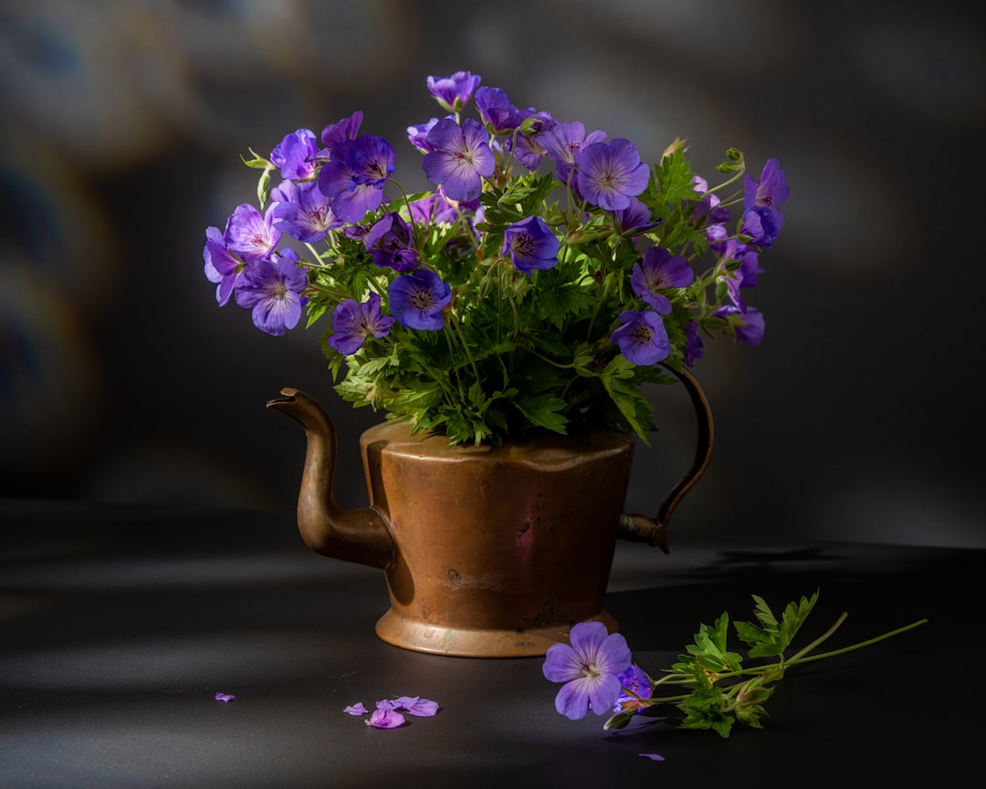purple flowers in a pot
