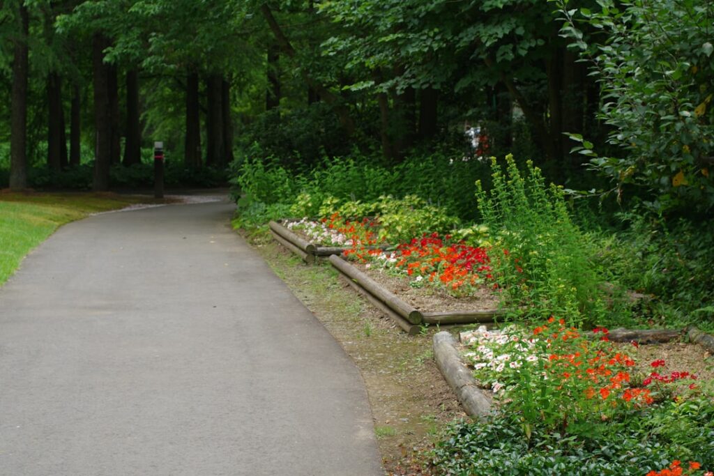 A paved path in the middle of a park