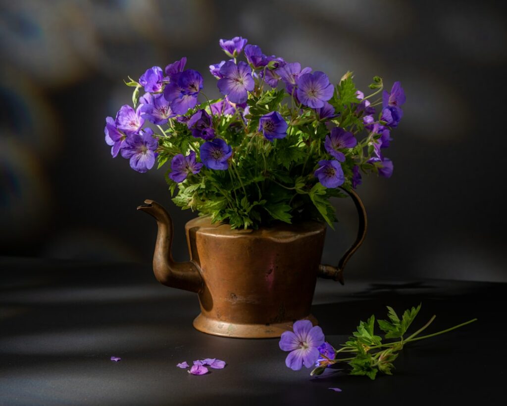 purple flowers in a pot