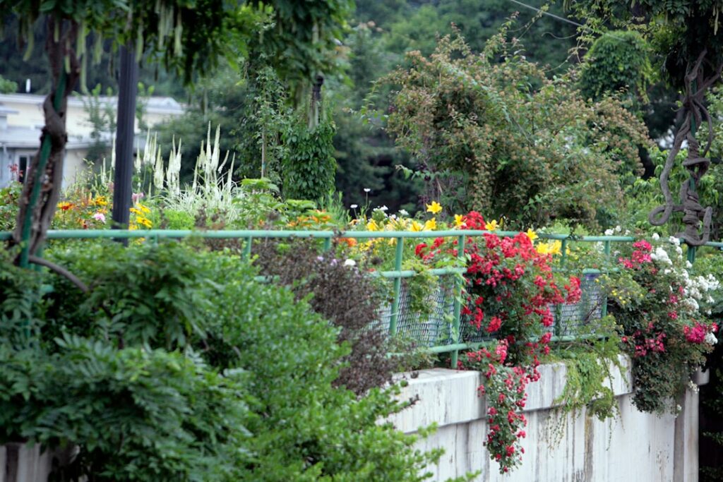 a garden with flowers