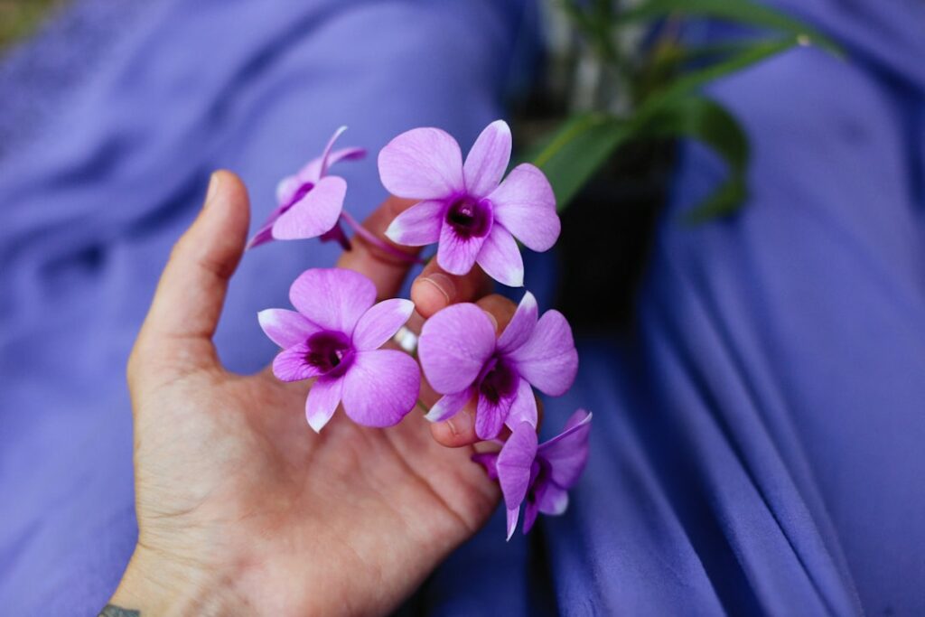 a person's hand holding a bunch of purple flowers