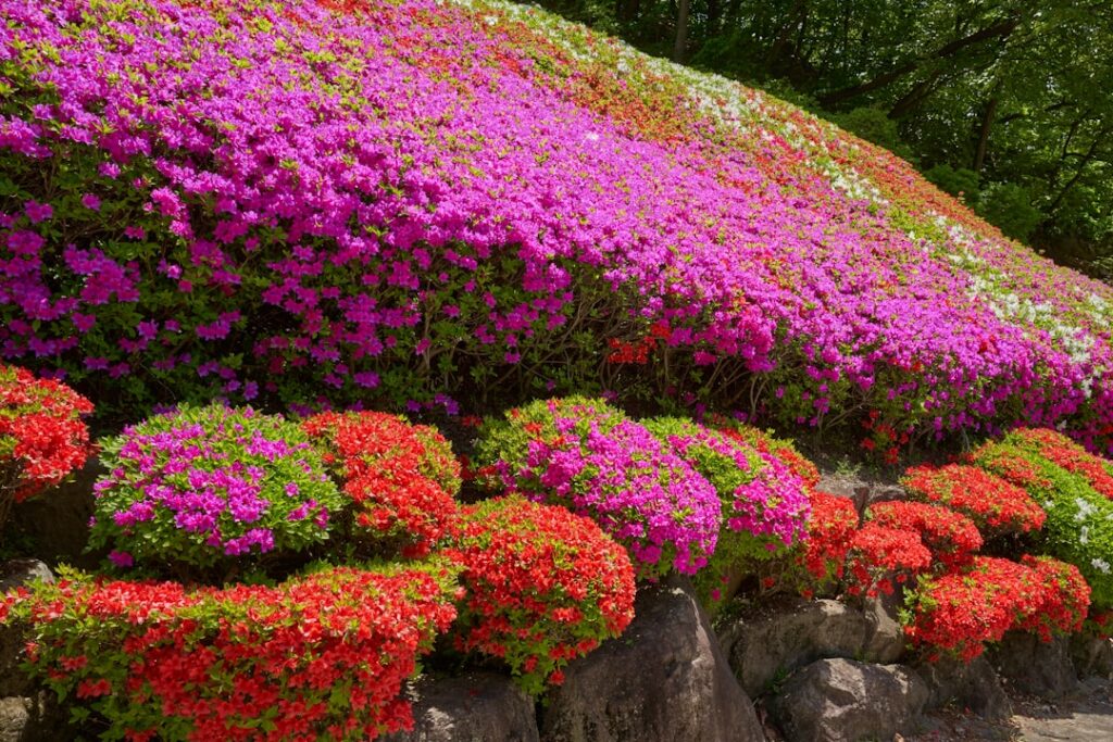colorful flowers are growing on the side of a rock wall