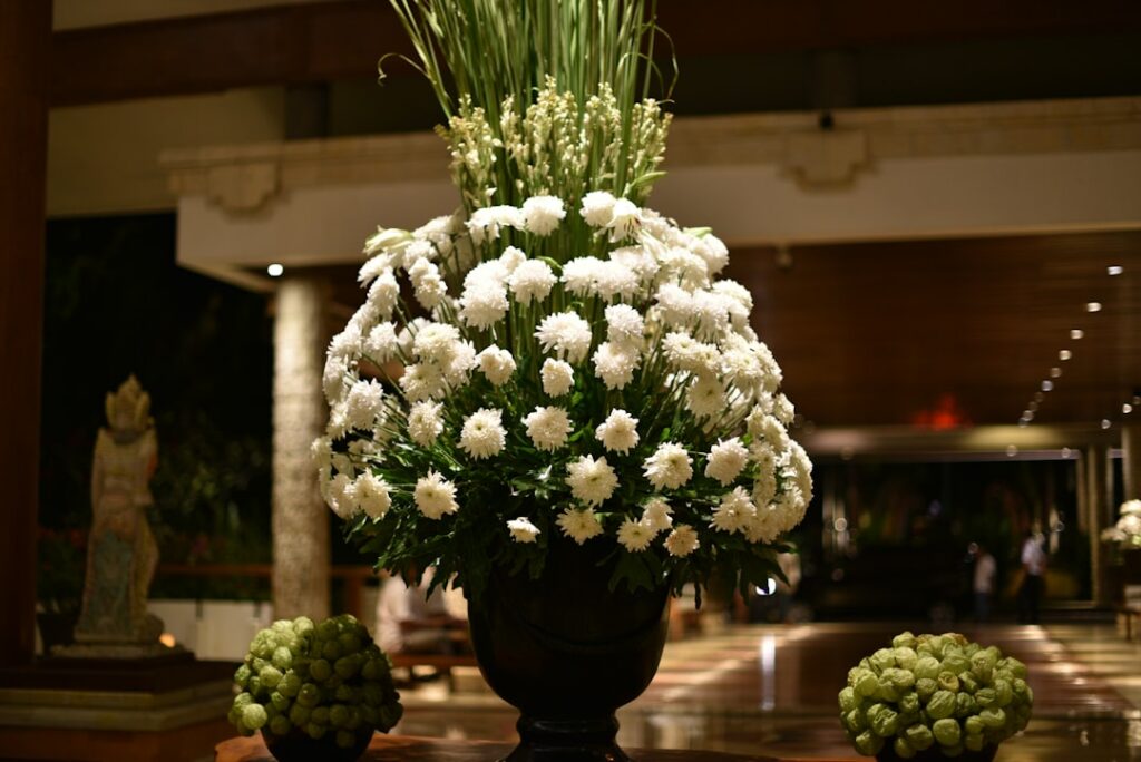 white petaled flower lot