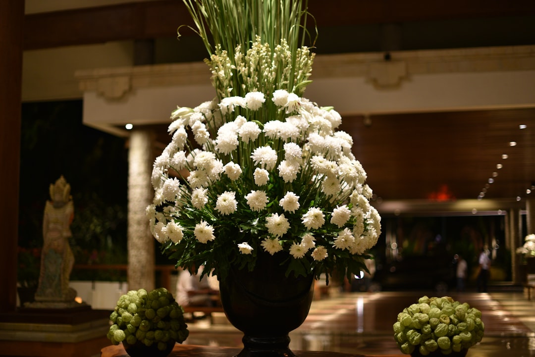 white petaled flower lot