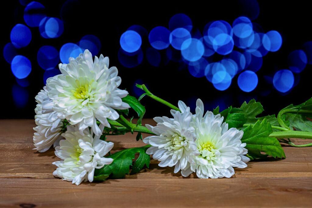 white and purple flowers on brown wooden table