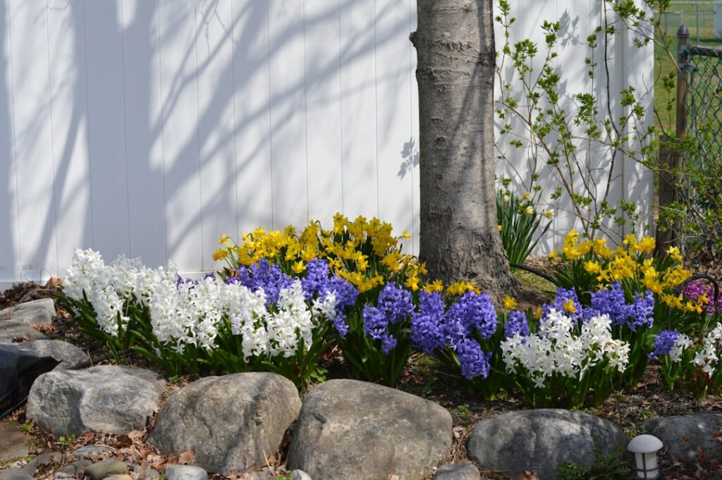 Colorful flowers bloom around a tree.