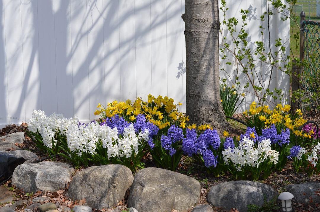 Colorful flowers bloom around a tree.