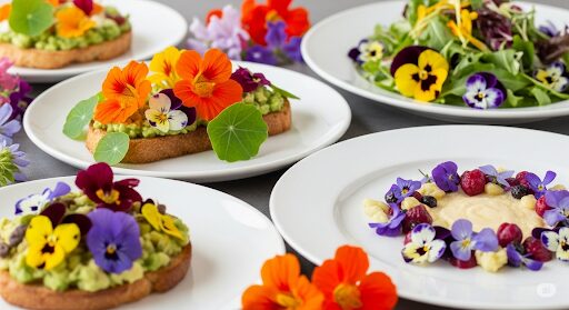 Petal Power: A Global Guide to Edible Flowers in Cuisine